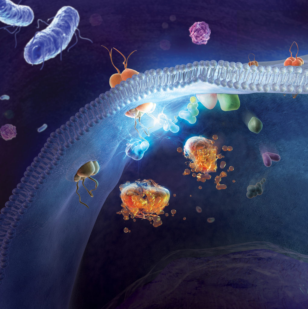 Receptor Activation A KYU Design